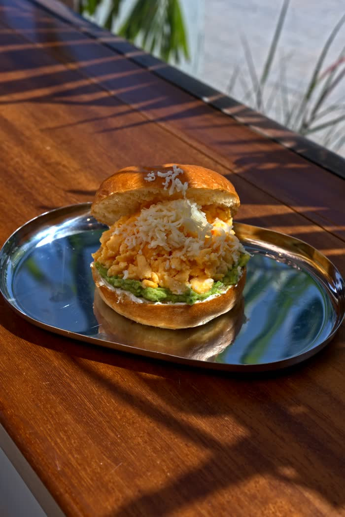 The Perk Cafe menu photography, egg avocado brioche bun